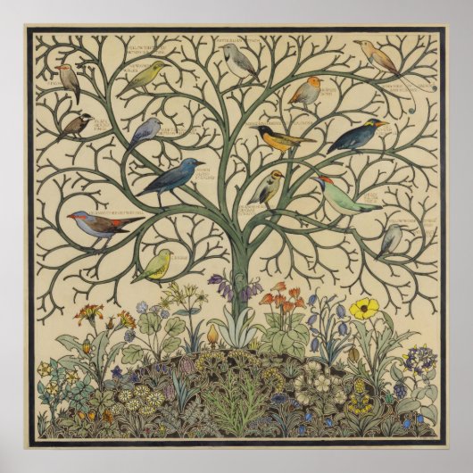 Birds of Many Climes van C.F.A Voysey Poster (Voorkant)