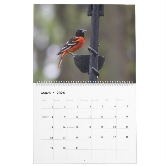 Birds of North America Calendar Kalender (Mar 2026)