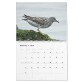 Birds of North America Calendar Kalender (Feb 2027)