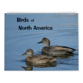 Birds of North America Calendar Kalender (Hoes)