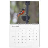 Birds of North America Calendar Kalender (Mar 2027)