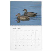 Birds of North America Calendar Kalender (Jan 2027)