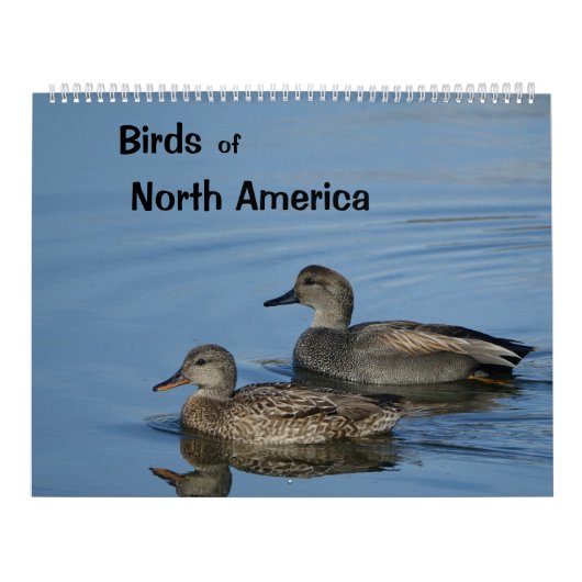 Birds of North America Calendar Kalender (Hoes)