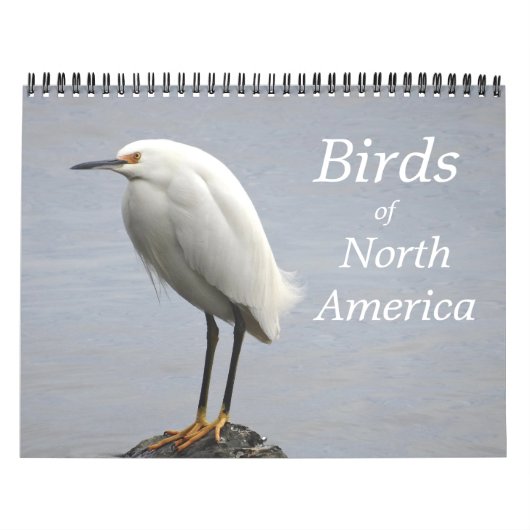 Birds of North America Calendar Kalender (Hoes)