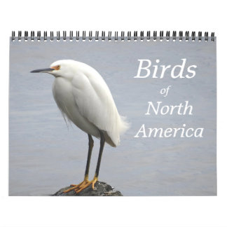 Birds of North America Calendar Kalender
