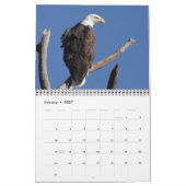 Birds of North America Calendar Kalender (Jan 2027)