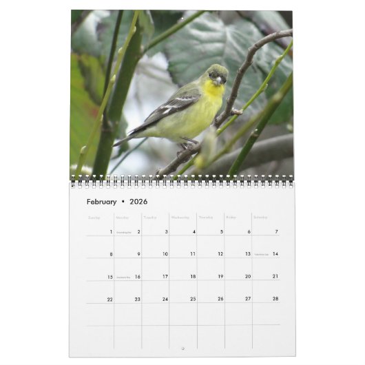 Birds of North America Calendar Kalender (Feb 2026)