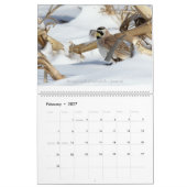 Birds of Ohio Wall Calendar Kalender (Feb 2027)