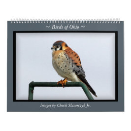 Birds of Ohio Wall Calendar Kalender