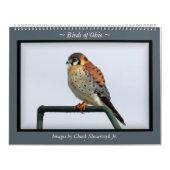 Birds of Ohio Wall Calendar Kalender (Hoes)