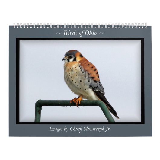 Birds of Ohio Wall Calendar Kalender (Hoes)