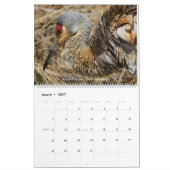Birds of Ohio Wall Calendar Kalender (Mar 2027)