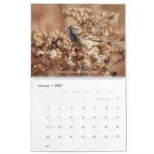 Birds of Ohio Wall Calendar Kalender (Jan 2027)