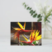 Birds of Paradise Feestdagenkaart (Staand voorkant)