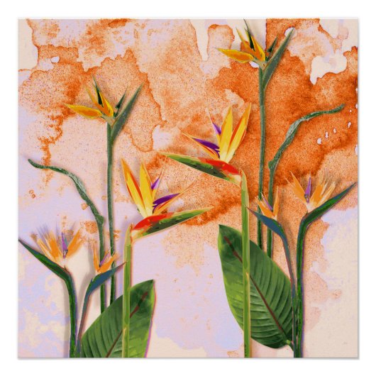 Birds of Paradise in Bloom Perfect Poster (Voorkant)
