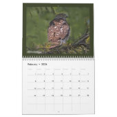 Birds of Prey 2010 Calendar Kalender (Feb 2026)