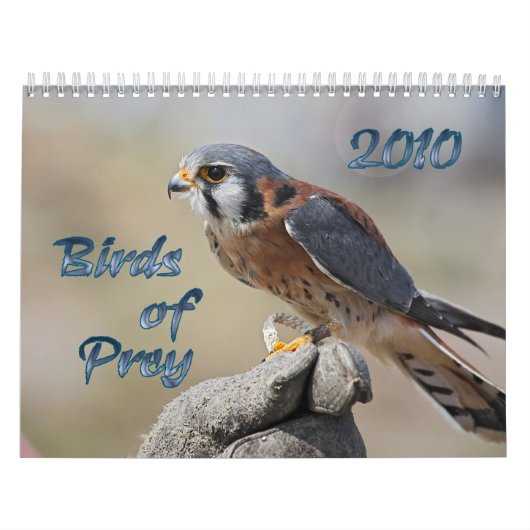 Birds of Prey 2010 Calendar Kalender (Hoes)