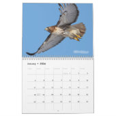 Birds of Prey 2010 Calendar Kalender (Jan 2026)