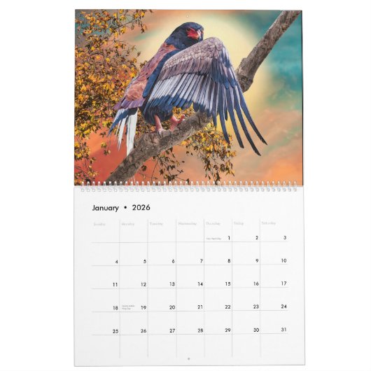 BIRDS OF PREY ART #1 KALENDER (Jan 2026)