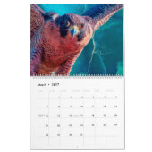 BIRDS OF PREY ART #1 KALENDER (Mar 2027)