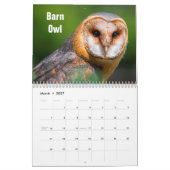 Birds of Prey Calendar Kalender (Mar 2027)