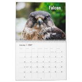 Birds of Prey Calendar Kalender (Jan 2027)
