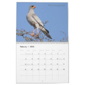 Birds of South Africa Calendar Kalender (Feb 2026)