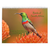 Birds of South Africa Calendar Kalender (Hoes)