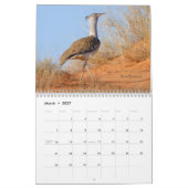 Birds of South Africa Calendar Kalender (Mar 2027)