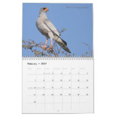 Birds of South Africa Calendar Kalender (Feb 2027)