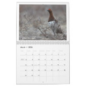 Birds of Southern Alaska and Canada calendar Kalender (Mar 2026)