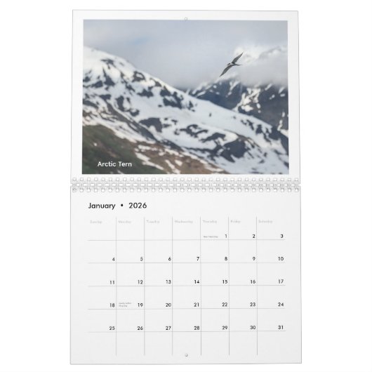 Birds of Southern Alaska and Canada calendar Kalender (Jan 2026)