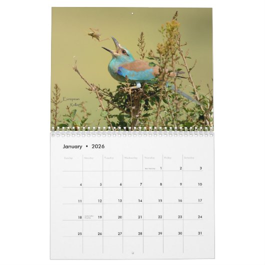 Birds of Tanzania Calendar Kalender (Jan 2026)