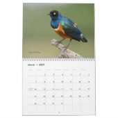 Birds of Tanzania Calendar Kalender (Mar 2027)