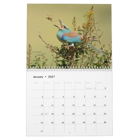 Birds of Tanzania Calendar Kalender (Jan 2027)