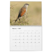 Birds of Tanzania Calendar Kalender (Feb 2027)