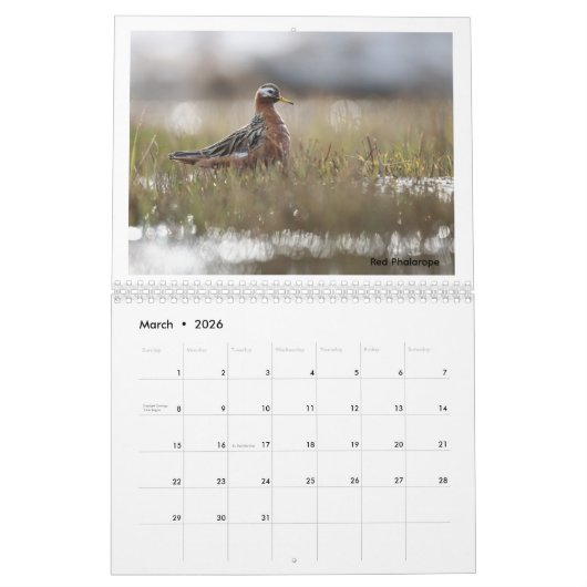 Birds of the Alaskan Tundra Calendar Kalender (Mar 2026)