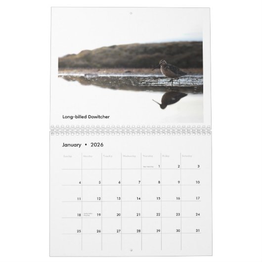 Birds of the Alaskan Tundra Calendar Kalender (Jan 2026)