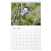 Birds of Western New York Calendar Kalender (Mar 2026)