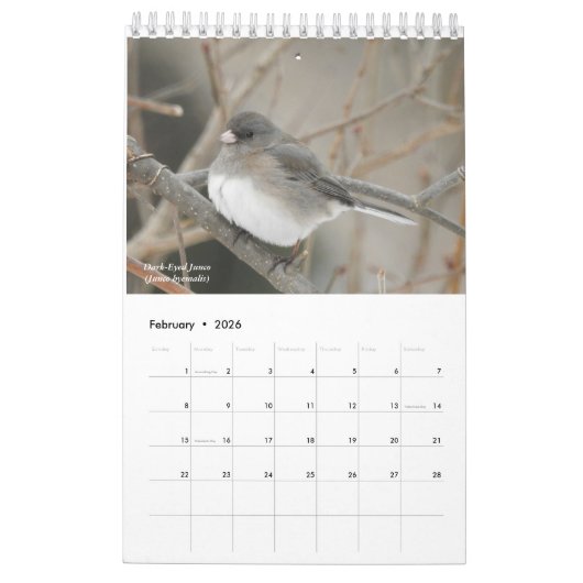 Birds of Western New York Calendar Kalender (Feb 2026)