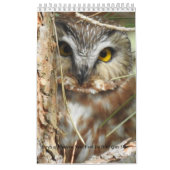 Birds of Western New York Calendar Kalender (Hoes)