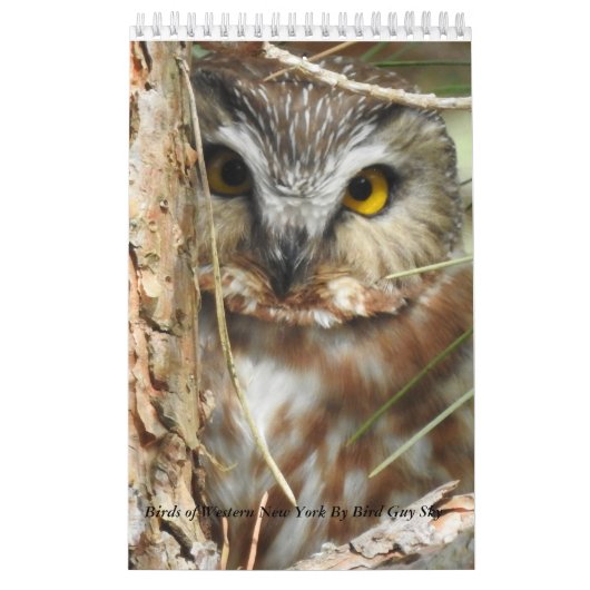 Birds of Western New York Calendar Kalender (Hoes)