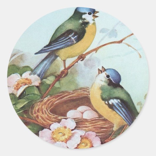 Birds on a Nest - Sticker (Voorkant)