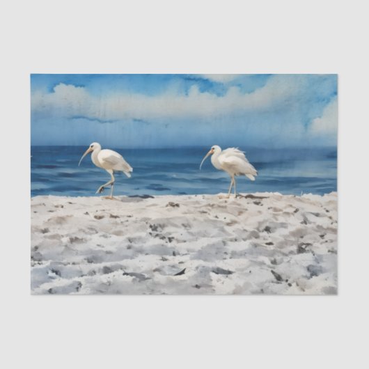 Birds on the Beach Tissue Paper Tissuepapier (Voorkant)
