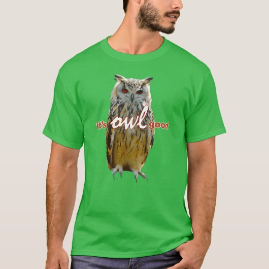Birds Owls Memeee vriend T-shirt (Voorkant)