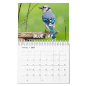 Birds Showcase Collectie Wall Agenda Kalender (Jan 2027)