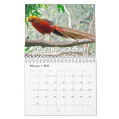 Birds Showcase Collectie Wall Agenda Kalender (Feb 2027)