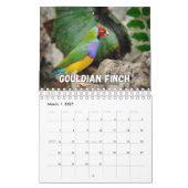 Birds Showcase Collectie Wall Agenda Kalender (Mar 2027)