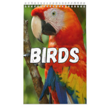Birds Showcase Collectie Wall Agenda
