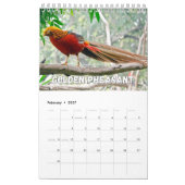 Birds Showcase Collectie Wall Agenda Kalender (Feb 2027)